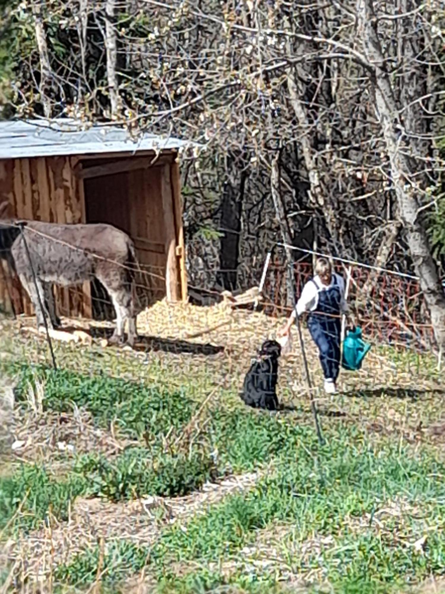 Gite De La Draye Crots Bagian luar foto