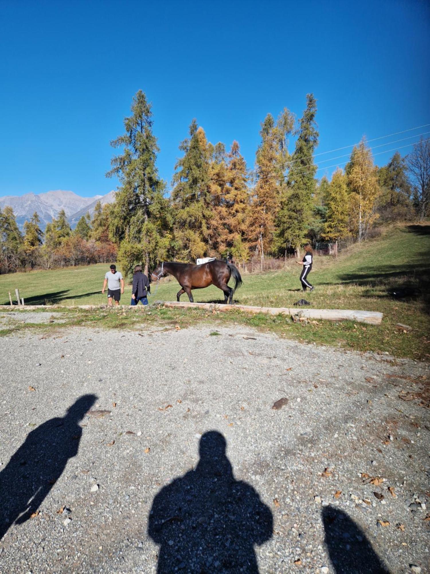 Gite De La Draye Crots Bagian luar foto